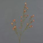 Hoya artificiel NIANG, orange-rouge, 80cm, Ø1,5-2,5cm