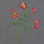 Renoncule artificielle YARIS, rose fuchsia-vert, 65cm, Ø3-4,5cm
