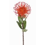 Fleur artificielle Protéa BAILY, orange, 50cm, Ø12cm