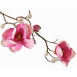 Magnolia en tissu KOSTAS, rose-rose fuchsia, 55cm, Ø5-8cm
