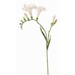 Freesia en tissu MARUSHA, blanc, 70cm, Ø6cm