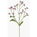 Fleur artificielle Eupatorium KORALIA, lilas, violet, 80cm, Ø4-7cm