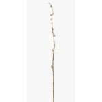 Branche de saule décorative DAFINO avec fleurs, blanc, 105cm