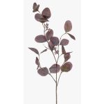 Fausse branche d'eucalyptus MAXEN avec fruits, violet-gris, 75cm
