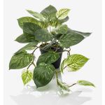 Pothos artificiel TREVA, vert-blanc, 55cm