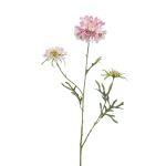 Fleur artificielle Scabiosa MARUA, rose, 80cm