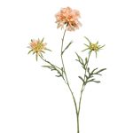 Fleur artificielle Scabiosa MARUA, pêche, 80cm