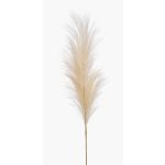 Herbe de la Pampa artificielle AMATSIA, crème, 115cm