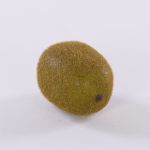 Kiwi en plastique SURATA, brune, 6cm