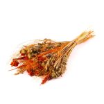 Bouquet d'épis séchés COVENTINA, orange-naturel, 65cm, Ø23cm