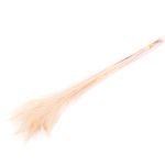 Plumes de paon NOYANA en botte, 5 pièces, blanchies à la chaux, 65-85cm