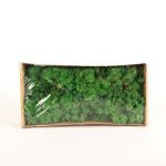 Véritable mousse d'Islande SVEINBJÖRN, vert signal, 500g