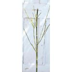 Branche de bambou artificielle HARUTO, 105cm