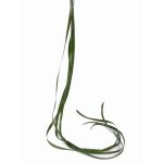 Graminée Carex artificiel JURO, vert, 120cm, Ø1cm