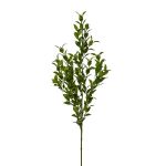 Branche décorative de fragon petit-houx SNERLO, vert, 70cm
