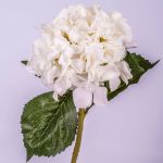 Hortensia artificiel GABRIELLA, crème, 50cm, Ø18cm