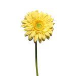 Fleur artificielle Gerbera QIUDONG, jaune, 50cm