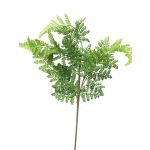 Branche décorative Fougère femelle XINTIAN, vert, 55cm