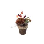Arrangement de dahlia, de cynorrhodons et de raisins artificiel MUSAN, pot décoratif, rouge-orange-vert, 10cm, Ø7cm