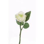 Rose artificielle GABI, crème-vert, 25cm, Ø5cm