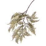 Fausse tige de fougère de Boston KENNET, vert, 90cm