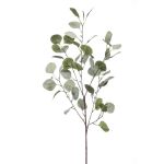 Branche d'eucalyptus artificielle COLTON, vert-gris, 85cm