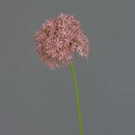 Allium artificiel ARNAU, rose fuchsia, 60cm