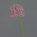 Allium artificiel ARNAU, violet, 60cm