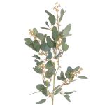 Fausse branche d'eucalyptus COBAR avec fleurs, crossdoor, vert, 65cm