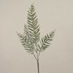 Branche de cyprès artificielle ZOLTAN, vert, 75cm