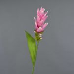 Curcuma artificiel LAROUCO, rose fuchsia, 80cm