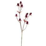 Branche de chardon artificielle (Eryngium) LOUKAS, bordeaux, 45cm, Ø1,5cm