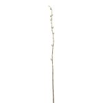 Branche de saule décorative DAFINO avec fleurs, blanc, 105cm