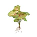 Plante artificielle Syngonium podophyllum AKAYU, piquet, racines, vert-rouge, 40cm