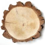Rondelle de bois en bouleau MORGANIE, naturel, Ø34-47cm