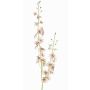 Branche d'orchidée Oncidium artificielle TALIAH, blanc-rose, 85cm