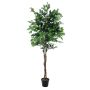 Ficus benjamina artificiel JACOPO, vrais troncs, vert, 180cm