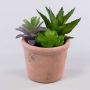 Arrangement de succulentes artificielles DANGELO dans un pot en terre cuite, vert-violet, 19cm