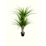Agave en plastique JACUMO, tronc artificiel, vert, 185cm