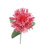 Leucospermum Protea en mousse synthétique ISLARTINA, rouge-fuchsia, 75cm