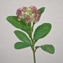 Fleur de sedum telephium artificielle EILIDH, rose-crème, 30cm