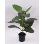 Caoutchouc décoratif FRODELINDE, tronc artificiel, vert, 60cm