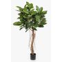 Faux ficus ADORU, tronc naturel, vert, 155 cm