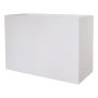 Jardinière rectangulaire NALTIS en plastique, blanche, 100 x 40 x 70 cm