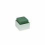 OASIS® Mousse florale humide rectangulaire pour des compositions florales, dans une coupe en plastique, vert-crème, 6x6x5,5cm
