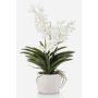 Orchidée Vanda artificielle PAVRA en pot en céramique, racines, blanc-crème, 60cm