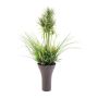 Arrangement de graminée artificiel OKPARA, pot décoratif, vert, 90cm