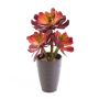 Aeonium en plastique DWAYN en pot décoratif, rouge, 30cm