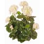 Géranium artificiel MIA sur piquet, crème, 35cm, Ø6-9cm