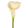 Calla artificielle MIRAC, crème, 75cm, 12x15cm